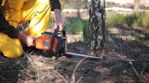 Best Stump Grinding and Removal  in Chesterfield, MO